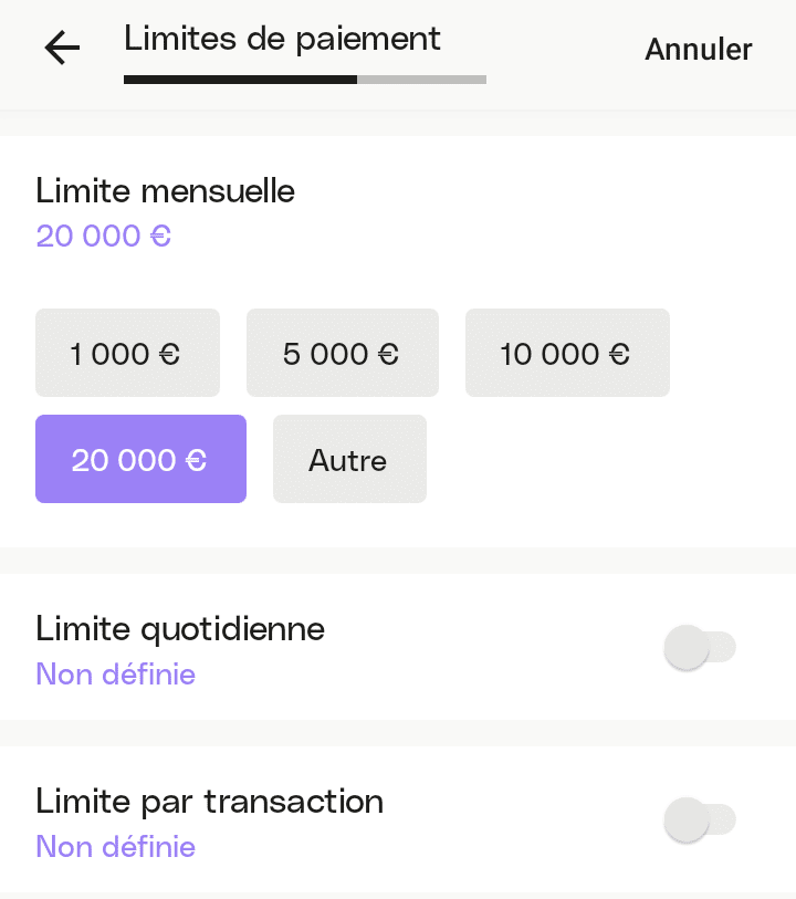 Cartes virtuelles : plafonds de dépense chez Qonto Cartes virtuelles : plafonds de dépense chez Qonto